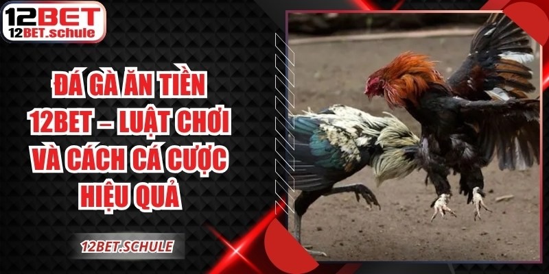 Đá Gà Ăn Tiền 12BET