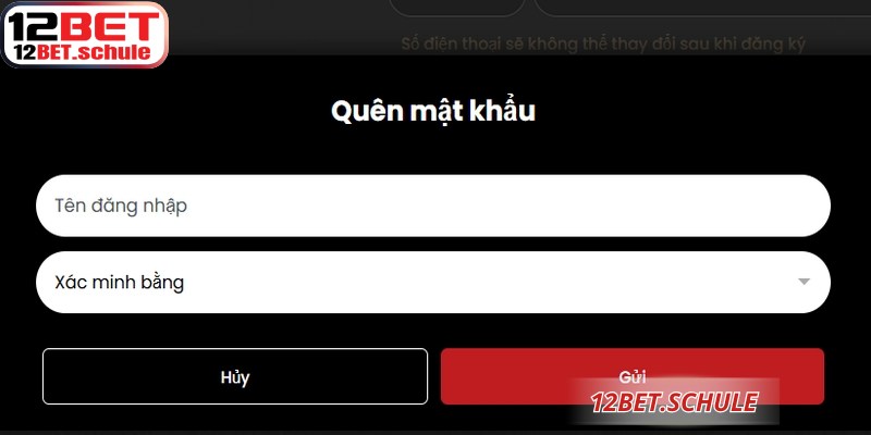 Đăng Nhập 12BET – Truy Cập Hệ Thống Giải Trí Đẳng Cấp 6 Các lỗi phát sinh hay gặp khi đăng nhập 12BET